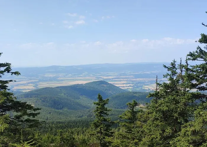 Biala Perla 204 Czarna Gora *